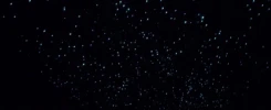 Glowworms in Spellbound cave