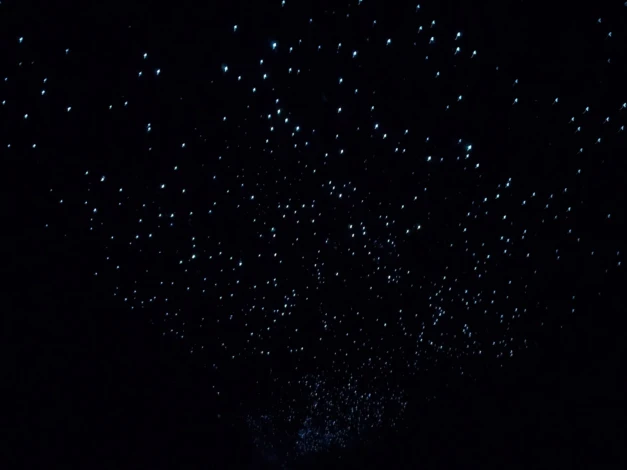 Glowworms in Spellbound cave